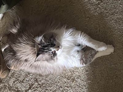 Photo of Nevaeh Long